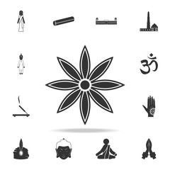 cinnamon flower icon. Detailed set of Indian Culture icons. Premium quality graphic design. One of the collection icons for websites, web design, mobile app