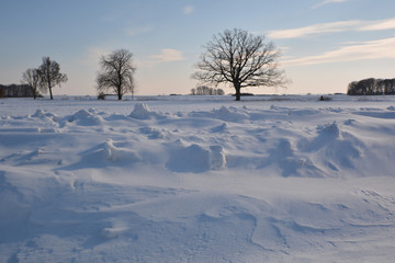 Fototapeta na wymiar Schneeverwehungen auf Rügen, Altkamp, Putbus