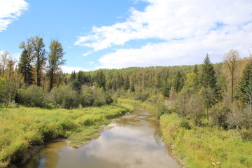 Late Summer On The Creek, Whitemud Park, Edmonton, Alberta