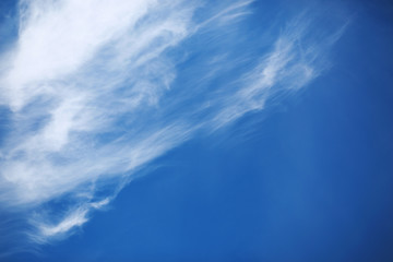 Fototapeta premium white clouds in a blue sky