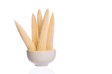 baby corn on a white background