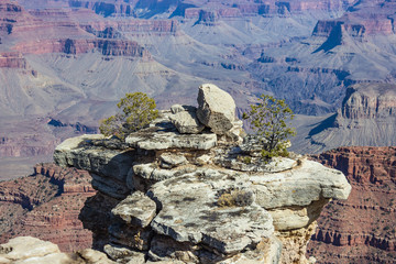 Grand Canyon National Park #5