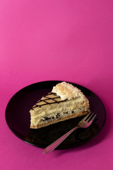 Slice of layer cake with cream and chocolate chips on black plate with fork - on hot pink background - copy space