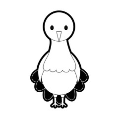 flat line monochromatic turkey  thanksgiving over white  background vector illustration