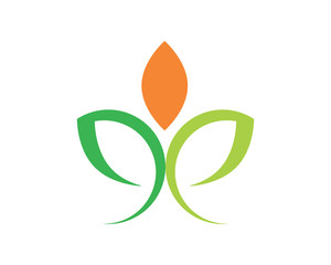 pattern ornamental leaves herb image vector icon