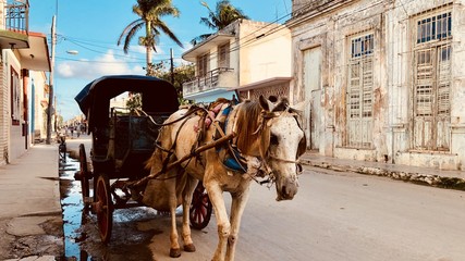 Naklejka na ściany i meble Voyage à Cardenas, Cuba