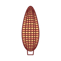 flat line  colored corn  over white background vector illustration