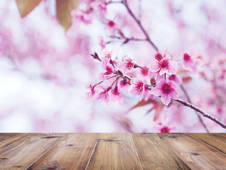Wood table top over pink cherry blossoms flower in full bloom