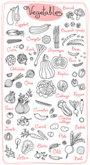 Set drawings of vegetables for design menus, recipes and packages product