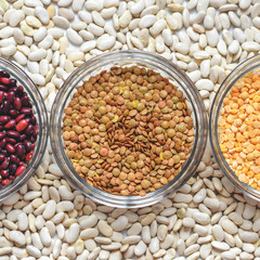 Cereal beans in glass cups: beans, peas and lentils, with spices top view.
