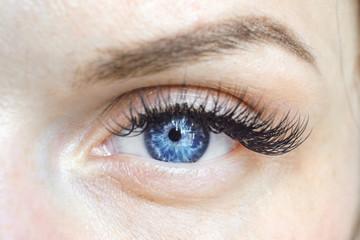 Fototapeta na wymiar female blue eye looking at the camera, contact lenses