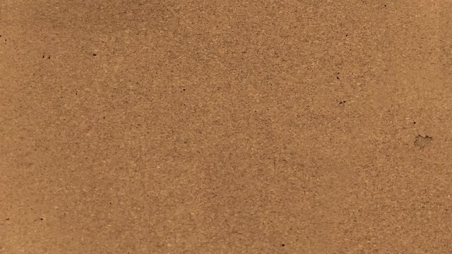 Cork Wall Texture. Animated loop for backgrounds or overlaying as foreground filters to grunge up titles, motion graphics, or give footage an old worn look.