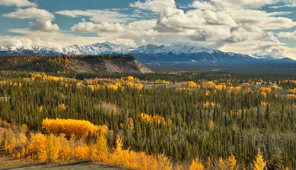 Abwaschbare Fototapete Herbst Blick auf Wrangell - St. Elias Mountains von Glenn HWY, Alaska