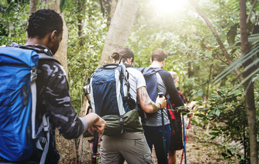 Trekking in a forest