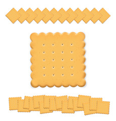 Set of cookie isolated on white background. Vector illustration. Can be use for your design, presentation, promo. EPS10