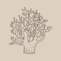 Illustration of plant