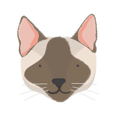 Illustration of cat