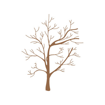 Illustration of tree without leaves