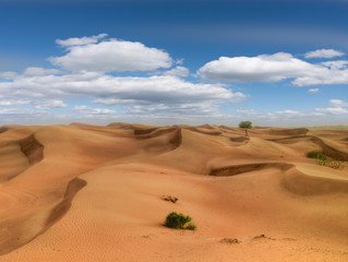 Fototapeta na wymiar Desert Dunes with clouds