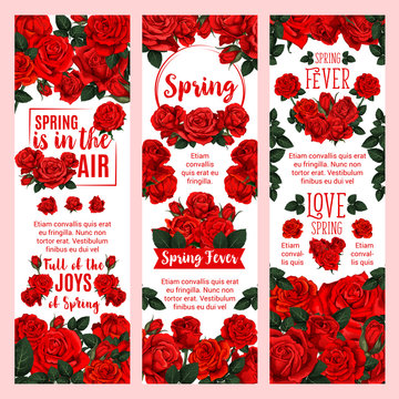 Spring season floral banner with red rose flower