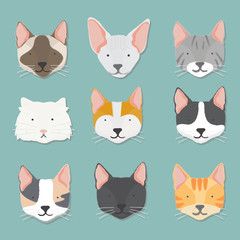 Fototapeta premium Illustration of cat faces