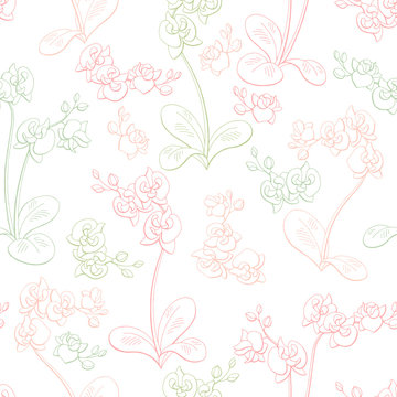 Orchid flower graphic color seamless pattern sketch illustration vector