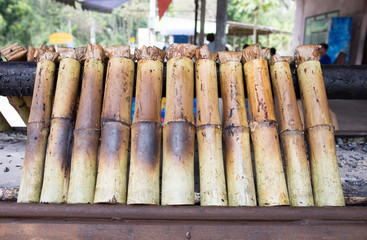 Khao Lam, Thai bamboo tube of sweet custard sticky rice dessert, Samut Songkram, Thailand