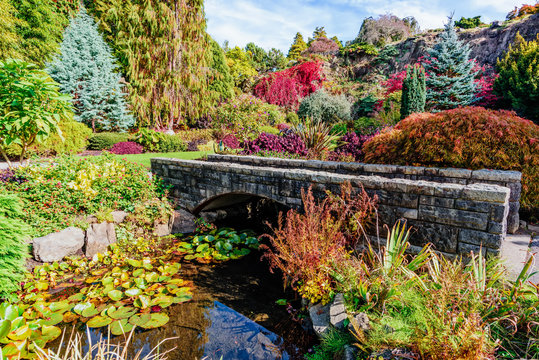 Stone bridge across the river in a botanical garden with a variety of plants © Viktor Birkus