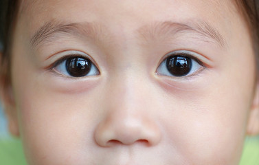 Fototapeta premium Zakończenie Brown oczy śliczna azjatykcia dziecko dziewczyna.