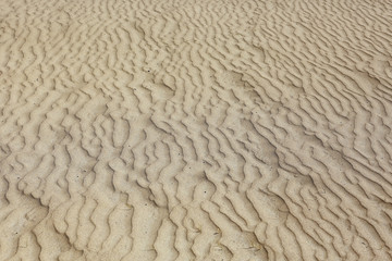 texture desert land sand dunes barkhans, deserts