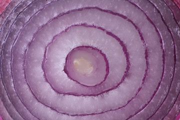Texture red onion