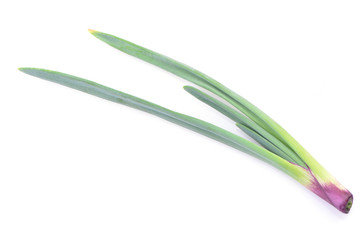 Green onions isolated