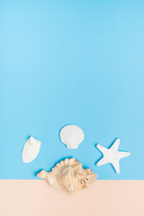 Set of summer object shell,starfish on pastel beige and blue background vertical.Holiday vacation backdrop.Copy space for display of product or content design.