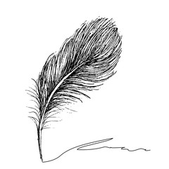 Feather with ink.