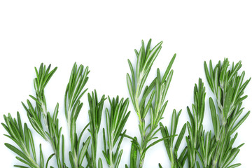 Fresh green rosemary isolated on a white background with copy space for your text. Top view. Flat lay