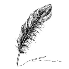 Feather with ink.