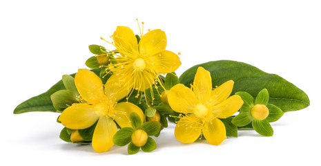 St. John's wort