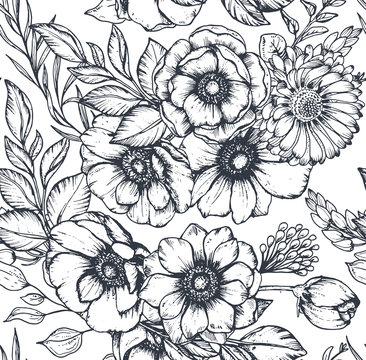 Vector black and white seamless pattern with hand drawn anemone flowers