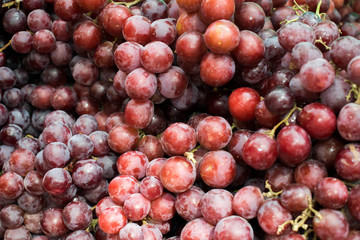 Fresh Grapes on the market