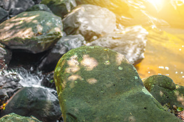 green moss and grey rocks