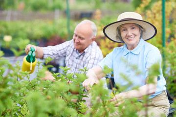 Portrait of happy senior couple posing, looking at camera, while working in family garden, focus on woman smiling happily, copy space
