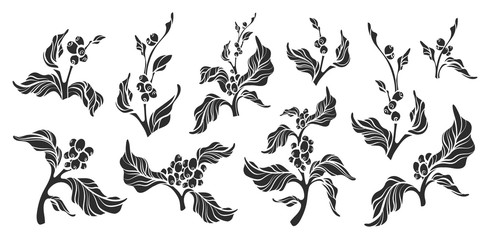 Naklejka na ściany i meble Set of coffee tree with leaves, bean. Vector illustration
