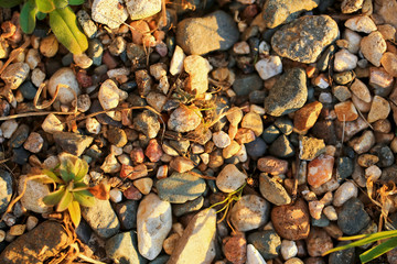 Multicolored little pebbles with grass