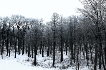 Beautiful European Chapel in the Park