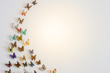 Magical Butterfly arrangement on a wall, decoration colorful butterflies