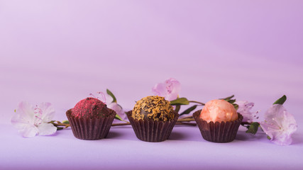 A variety of chocolate candies on a purple background decorated with fresh flowers.