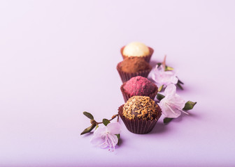  A variety of chocolate candies on a purple background decorated with fresh flowers.