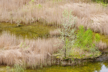 abandoned flooded quarry, Czech republic