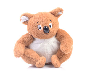 Teddy bear koala