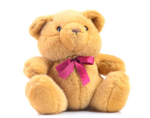 Teddy bear isolated on a white background